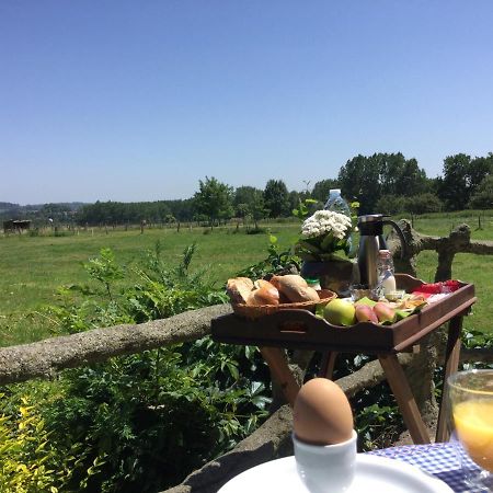 B&B Belvedere Brakel Eksteriør bilde
